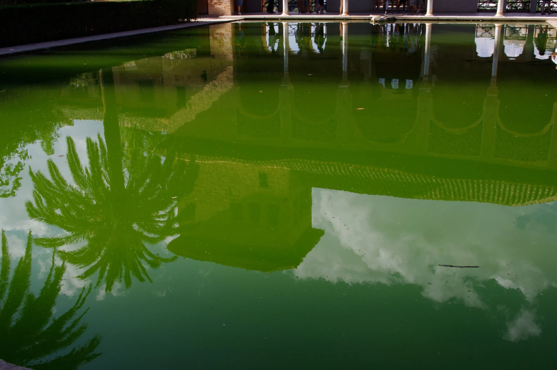 Miroir aquatique