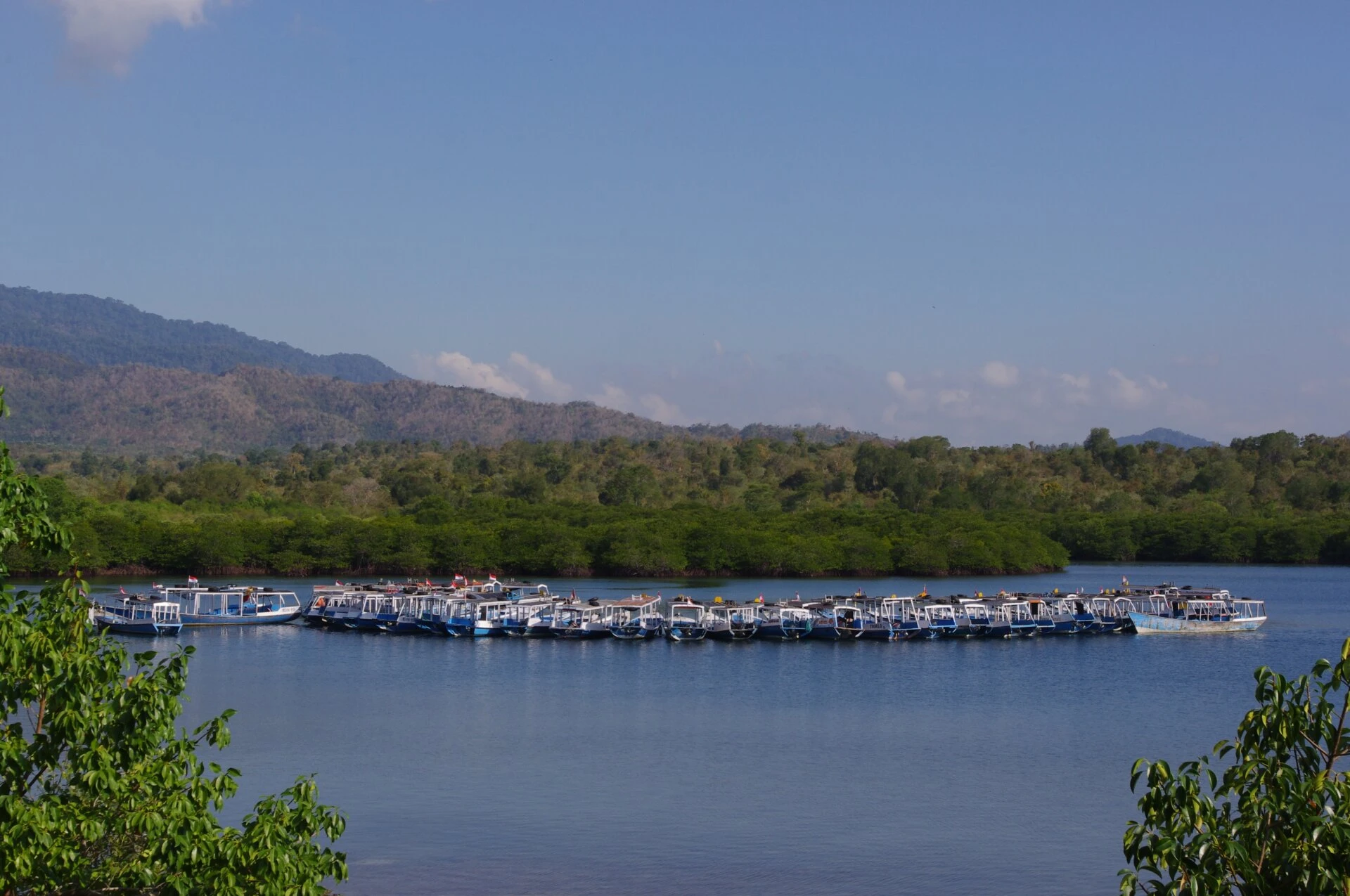 Fishermans Boats